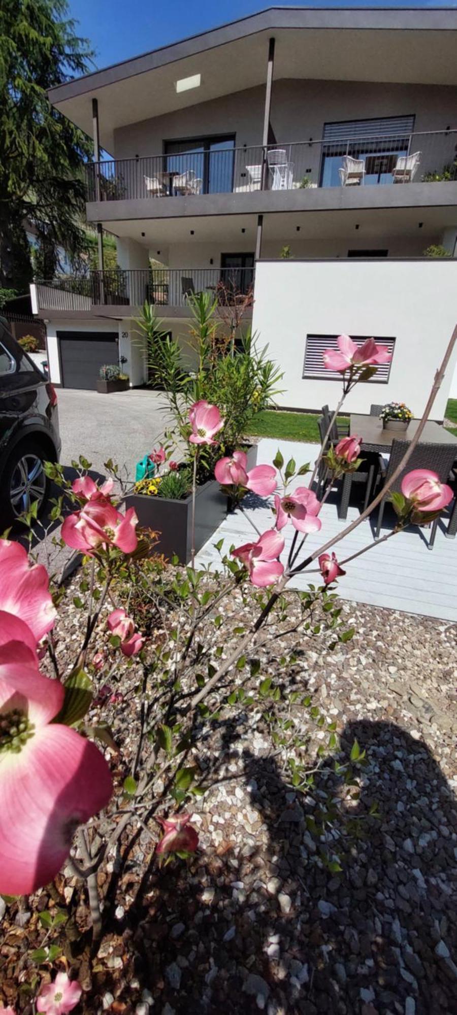 Marlingsuites - Vinea - Wieser Josef - Marling المظهر الخارجي الصورة