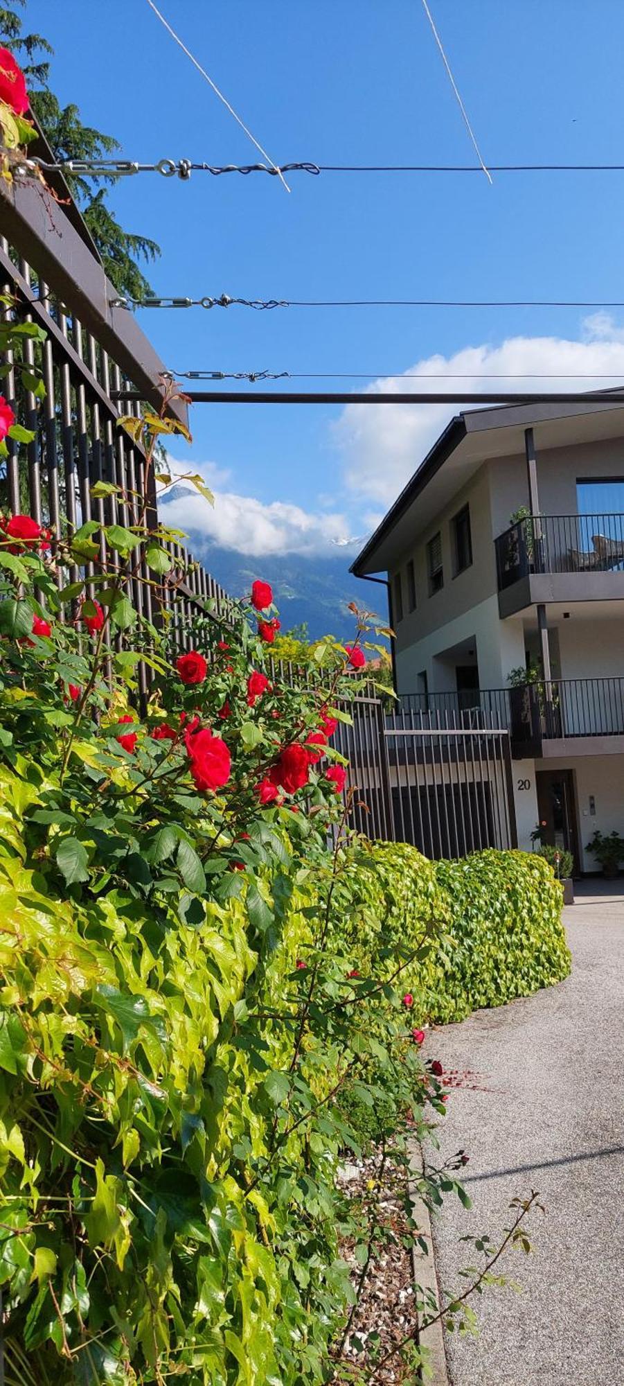Marlingsuites - Vinea - Wieser Josef - Marling المظهر الخارجي الصورة